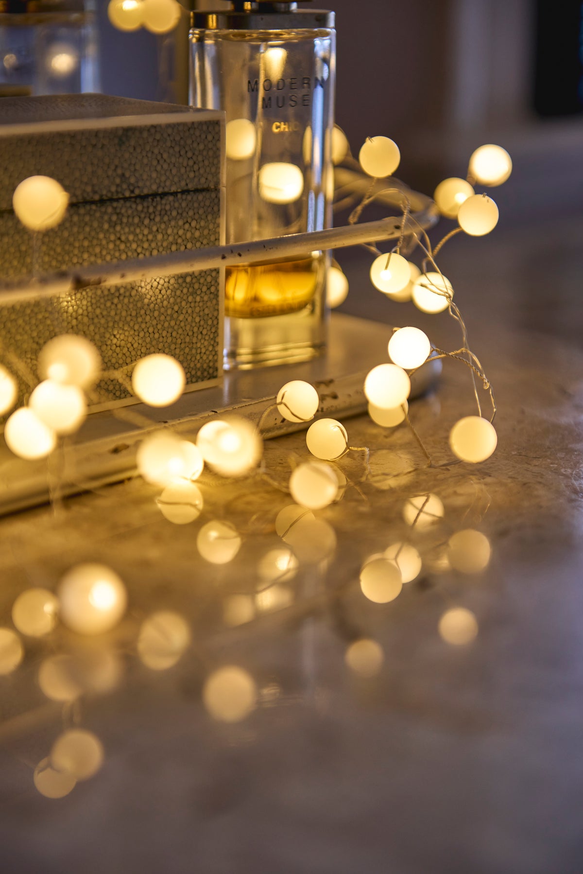 Snowberry Fairy Lights | 100 Warm White LED Lights