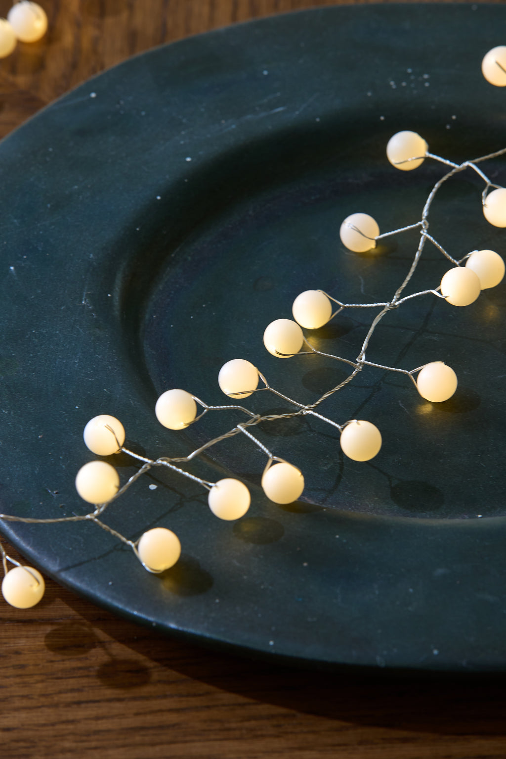 Snowberry Fairy Lights | 100 Warm White LED Lights