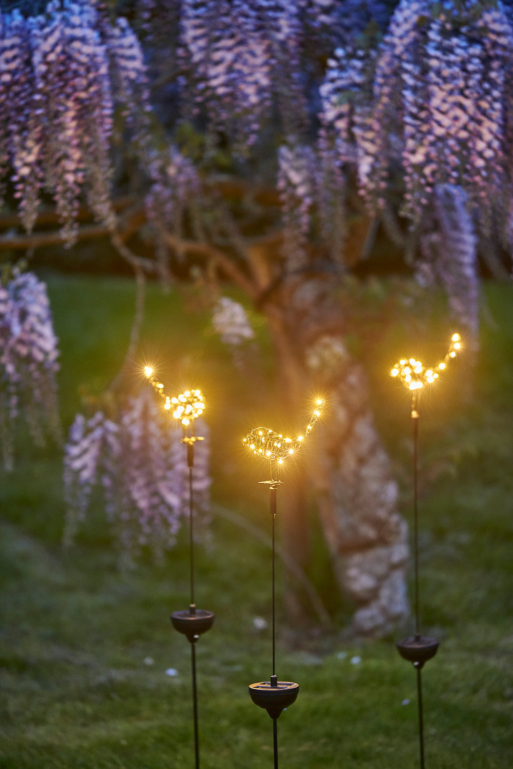 Solar Robin Garden Stake Light