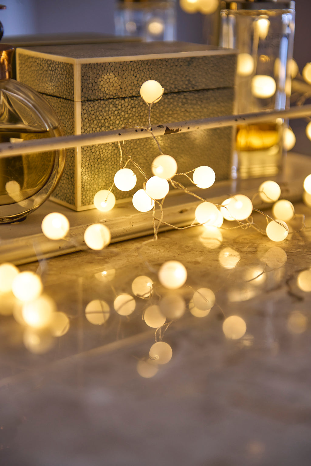 Snowberry Fairy Lights | 100 Warm White LED Lights
