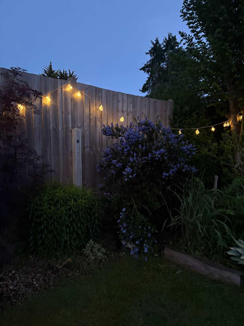 Solar & USB-C Hemp Rope Festoon Lights – 20 Warm White Bulbs
