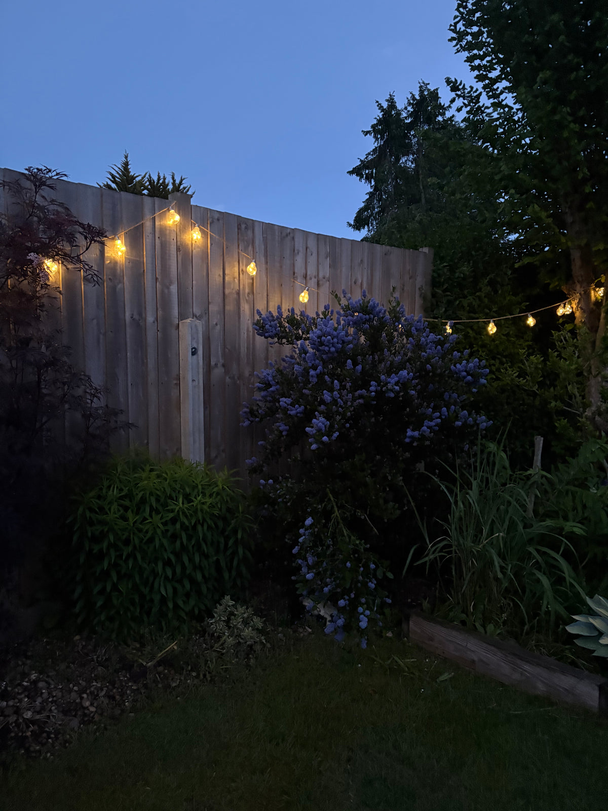 Solar & USB-C Hemp Rope Festoon Lights – 20 Warm White Bulbs