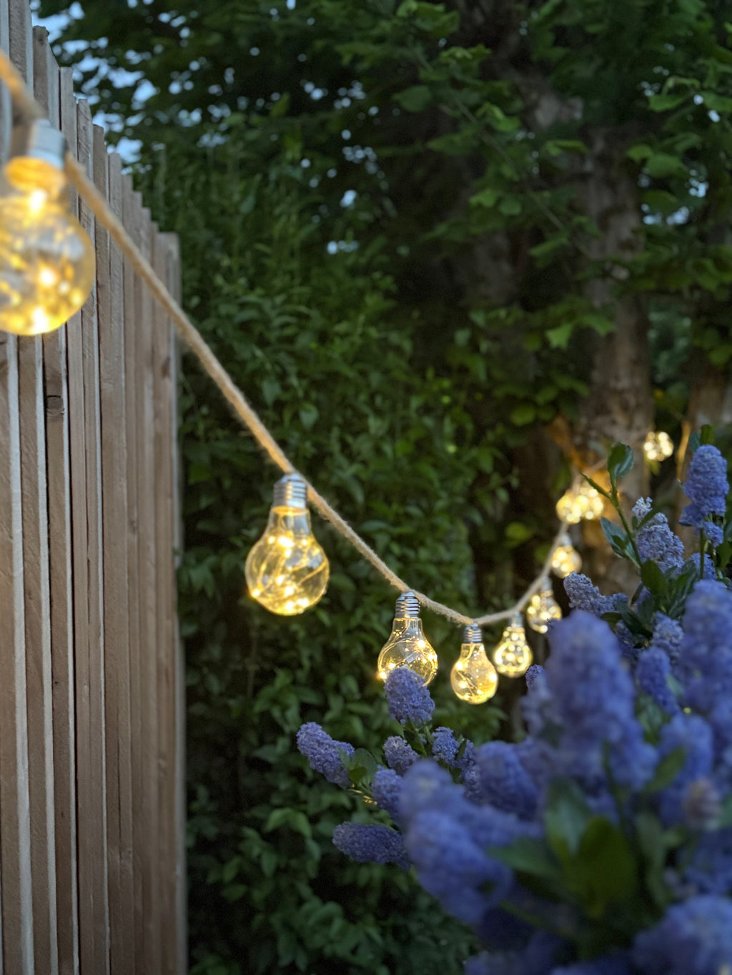 Solar & USB-C Hemp Rope Festoon Lights – 20 Warm White Bulbs