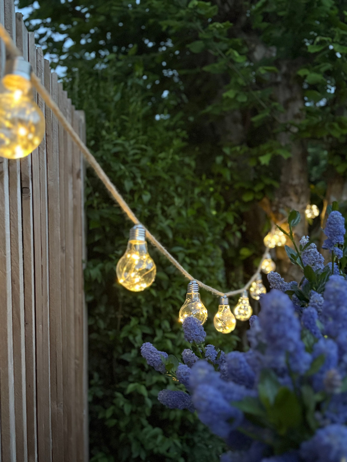Solar & USB-C Hemp Rope Festoon Lights – 20 Warm White Bulbs