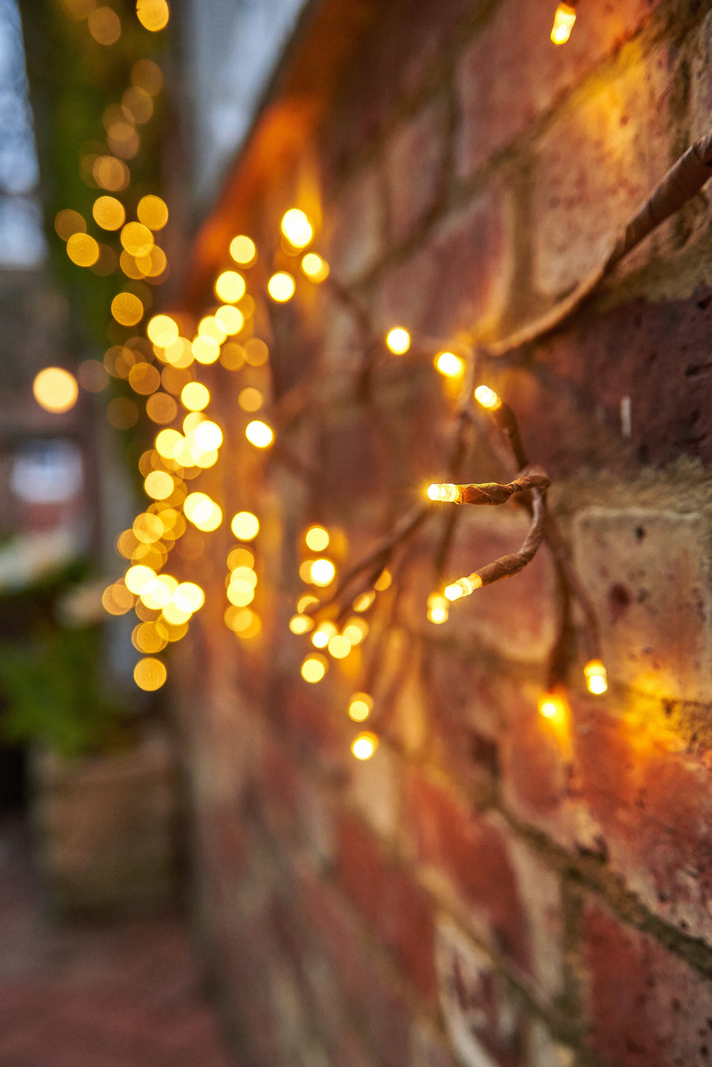 Climbing Ivy Lights – 96 Warm White LEDs, Solar or Plug-In