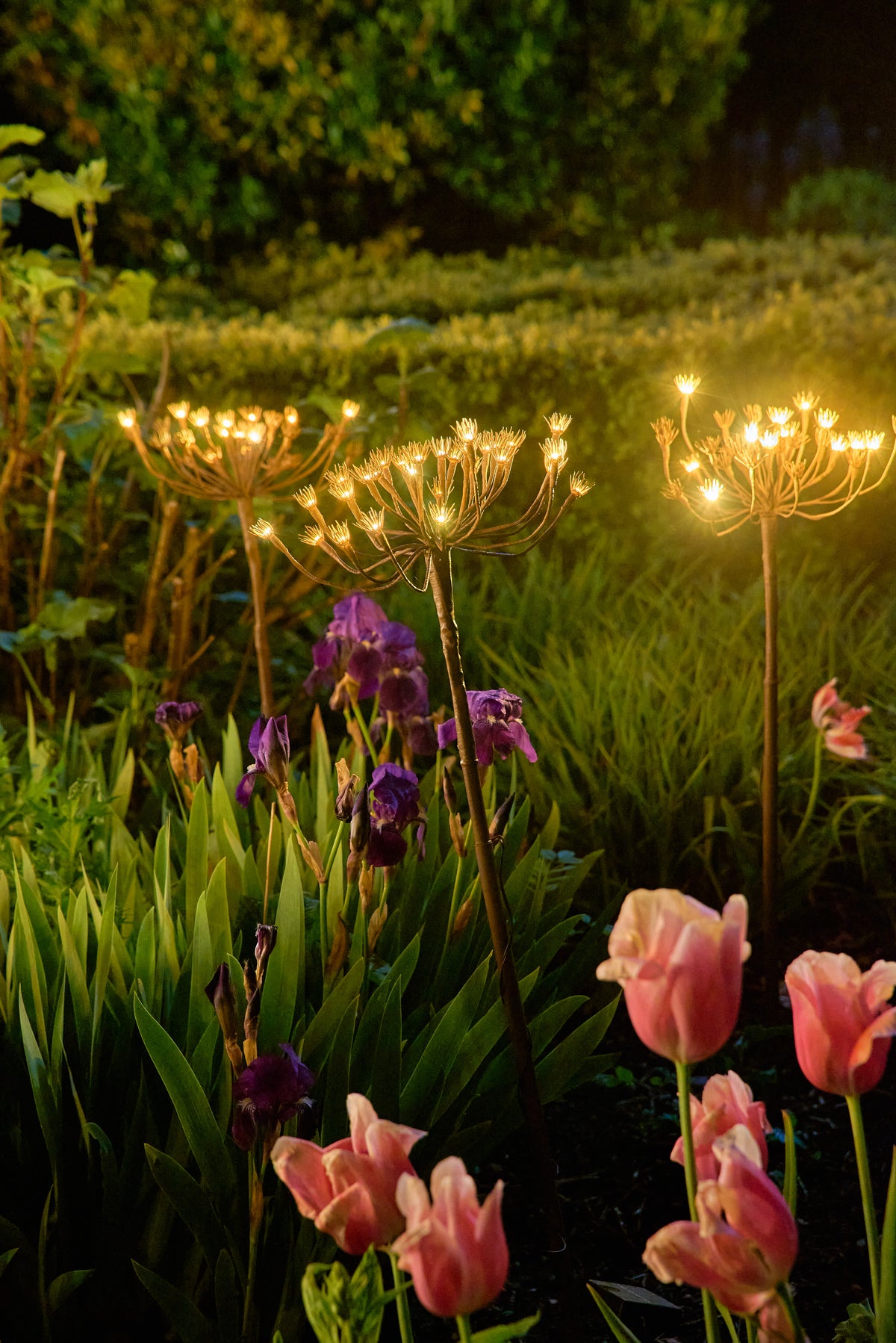 Solar & Battery Wild Fennel Garden Stake Light – 15 Warm White LEDs